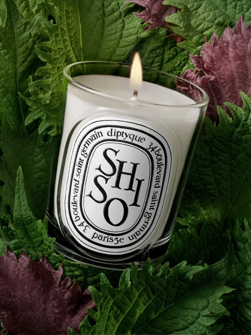 TWO Diptyque SHISO Candles set in gift packaging